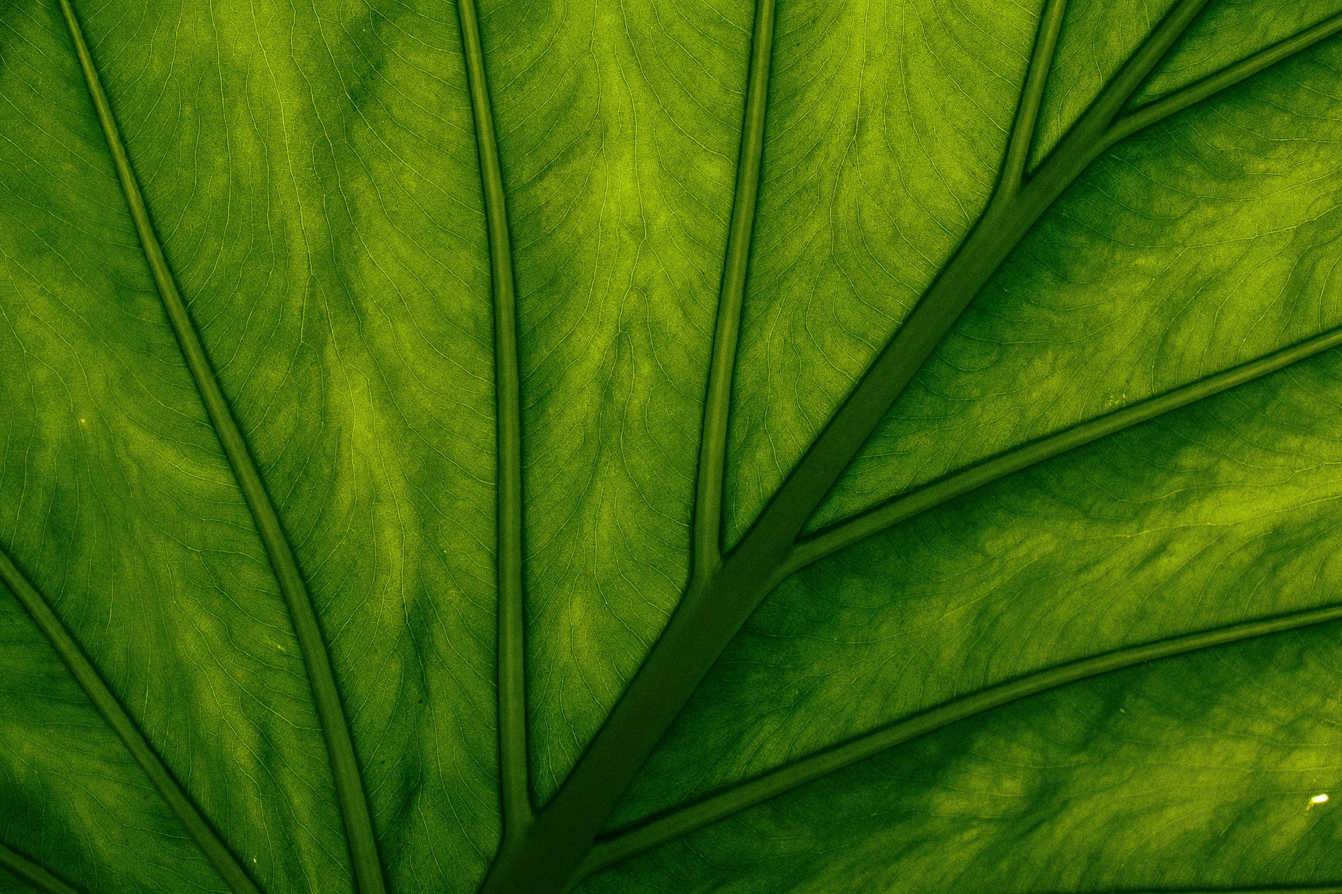 Novedades para la puesta en marcha del Reglamento de ecodiseño