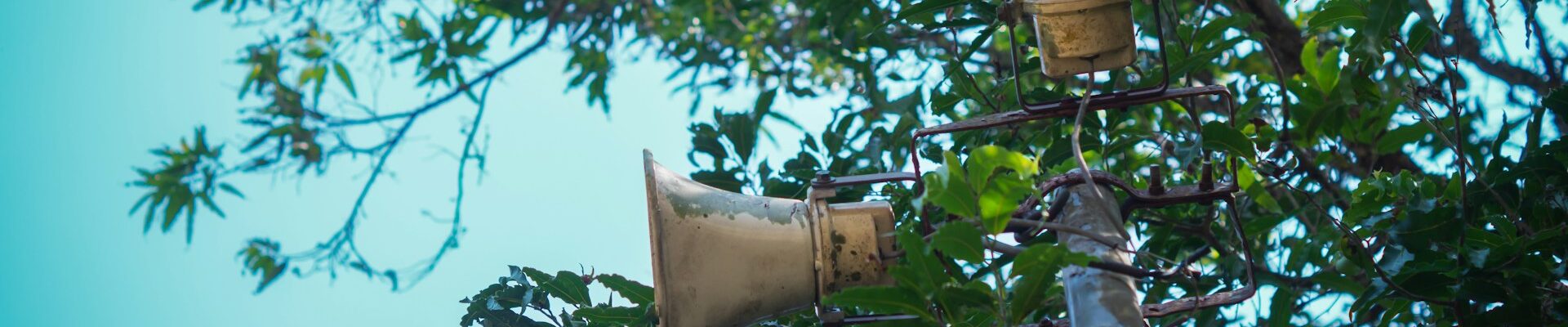 El 30 de julio, la Comisión Europea publicó una recomendación basada en el trabajo de la EFRAG: un estándar voluntario de presentación de información en sostenibilidad para pequeñas y medianas empresas (VSME, por sus siglas en inglés).