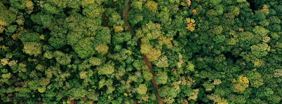 En 2025 se adoptó la Convención sobre la Protección del Medio ambiente mediante el Derecho Penal que establece normas mínimas de derecho penal ambiental y promueve su aplicación efectiva.
