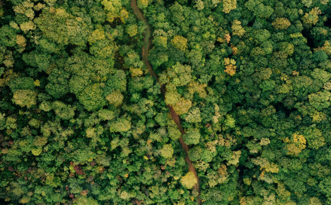 En 2025 se adoptó la Convención sobre la Protección del Medio ambiente mediante el Derecho Penal que establece normas mínimas de derecho penal ambiental y promueve su aplicación efectiva.