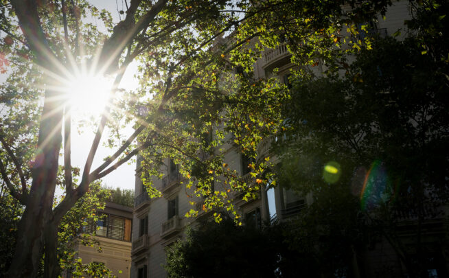 El 24 de julio, la Comisión Europea empezó el proceso para crear una "Iniciativa europea de resiliencia frente al cambio climático y la gestión de riesgos", abriendo una convocatoria de datos. terraqui.com