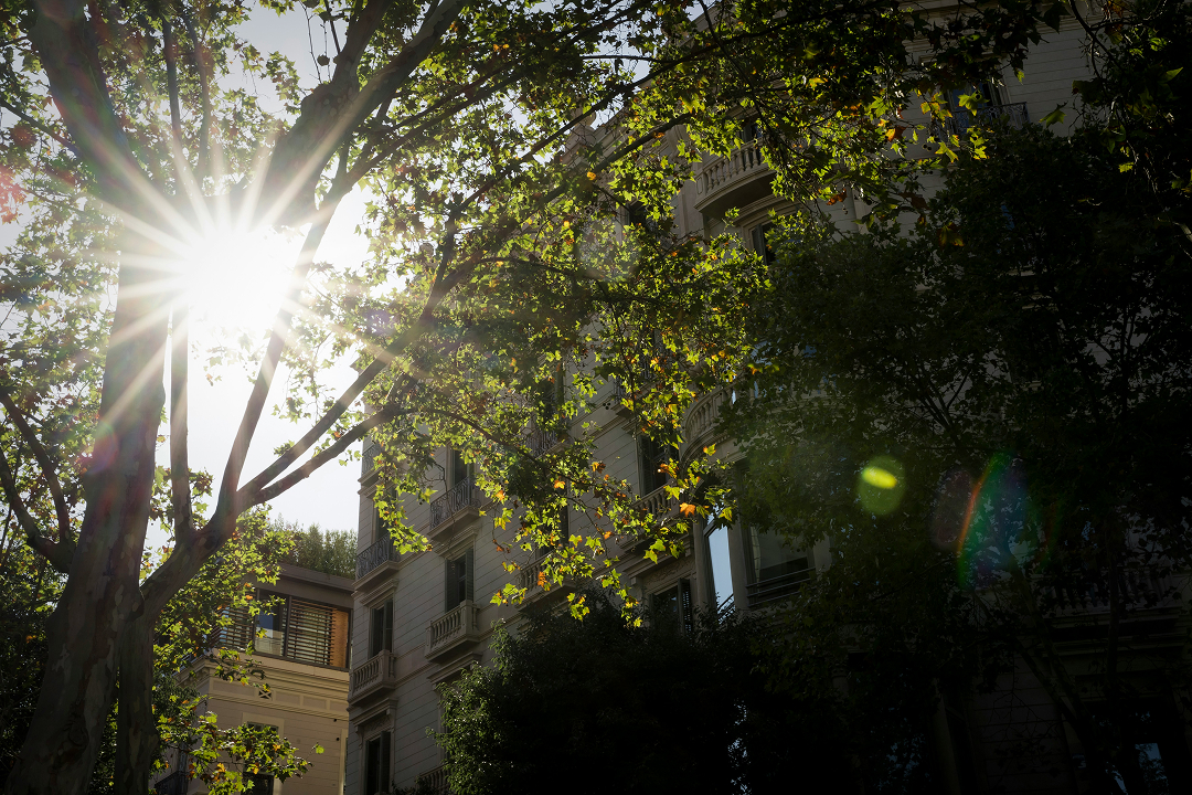 La Comisión Europea lanza una consulta sobre la futura Iniciativa de resiliencia climática de la Unión Europea