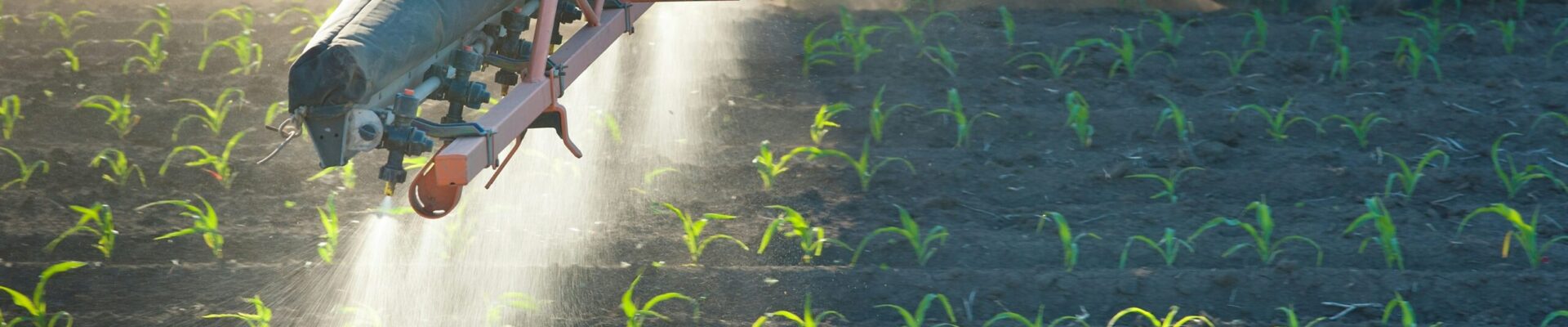 El Consejo de la Unión Europea alcanzó un acuerdo sobre su posición negociadora para el restante del paquete legislativo "Ómnibus VI". Esta iniciativa busca simplificar la regulación y reducir las cargas administrativas para la industria química, cosmética y de fertilizantes, sin menoscabar la protección de los consumidores y el medio ambiente.