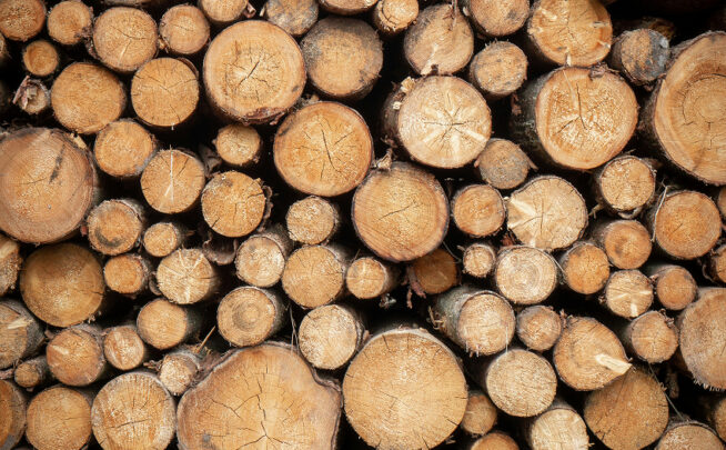 A finales de octubre de 2025, la Comisión presentó una propuesta formal de modificación del Reglamento EUDR.