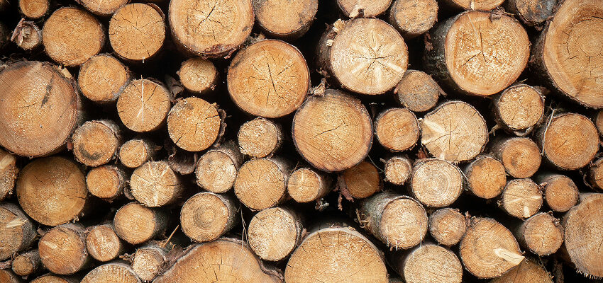 A finales de octubre de 2025, la Comisión presentó una propuesta formal de modificación del Reglamento EUDR.