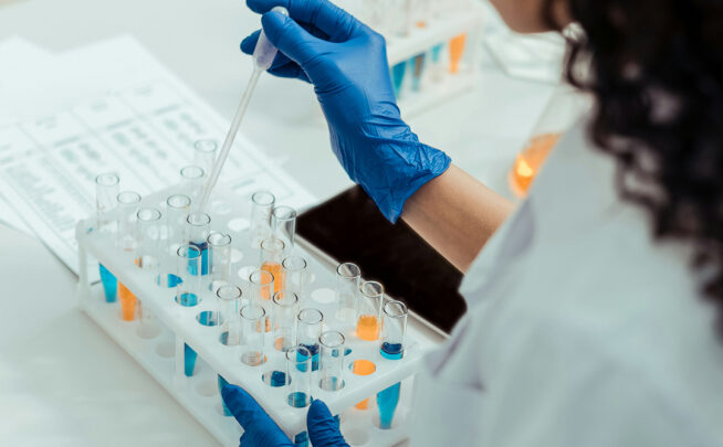 La Comisión Europea ha presentado su nueva estrategia titulada “Un marco estratégico para una bioeconomía de la UE competitiva y sostenible”